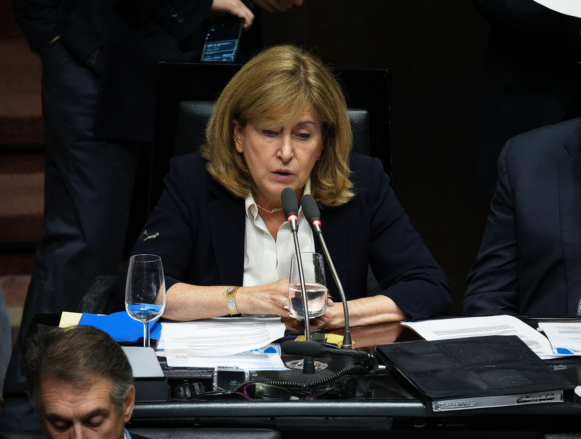 Ilustración de Ena von Baer trabajando en la Cámara de Diputados