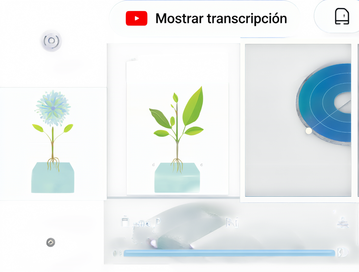 Pantalla de un navegador con el reproductor de YouTube y el panel de transcripción abierto