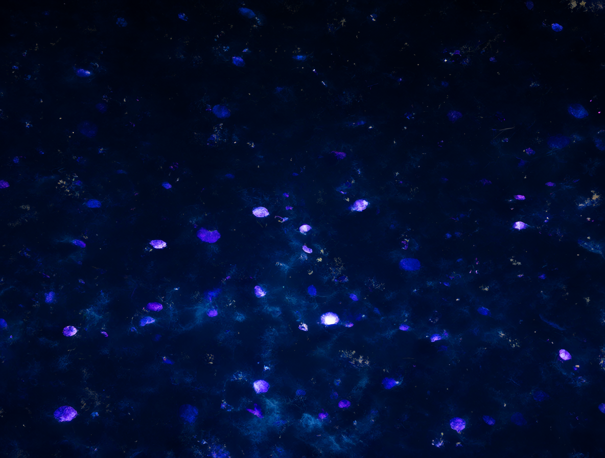 Vista atmosférica de las profundidades del Abismo con flora bioluminiscente brillante.