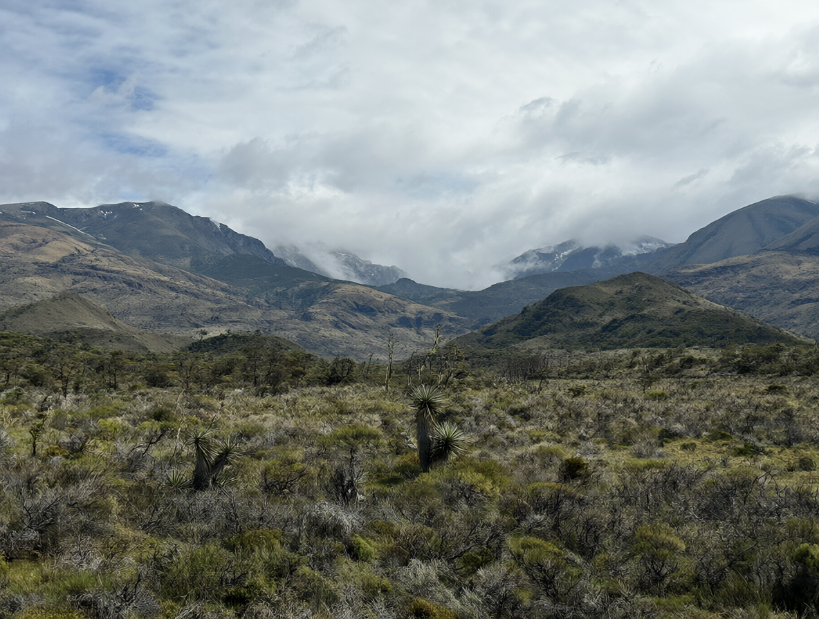Montañas y bosque en un día nublado