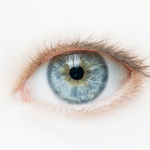 Un primer plano de un ojo humano claro y brillante en un fondo blanco.
