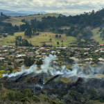 Comunidades indígenas junto a maquinaria forestal destruida en un bosque