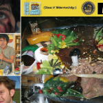 Collage de imágenes de memes virales
