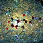Imagen científica mostrando una molécula de dopamina interactuando entre neuronas en un corte cerebral humano.