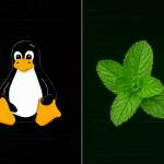 Imagen comparativa entre los logos de Ubuntu y Linux Mint sobre un fondo de código.