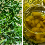 Hojas de plantas medicinales, un frasco de aceite de oliva y aceitunas en salmuera.