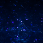 Vista atmosférica de las profundidades del Abismo con flora bioluminiscente brillante.