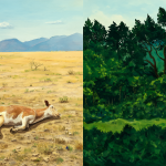 Mapa ilustrativo mostrando las ubicaciones geográficas de Vaca Muerta en Argentina y China Muerta en Chile, con sus respectivos paisajes naturales.