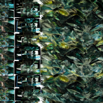 Composición abstracta digital mostrando la transformación de imágenes de izquierda a derecha.