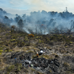 Vista aérea de un incendio forestal masivo en Chile y expertos forenses recolectando muestras de restos carbonizados.