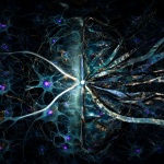 Abstract visual representing temporal distortion, split-brain imagery, and multiverse concepts.