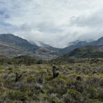 Montañas y bosque en un día nublado